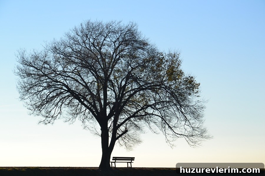 featured 111594