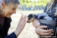 How Pets Improve Quality of Life for Long-Term Care Residents