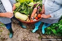 How One CCRC Is Solving a Local Food Desert Through Community Programs