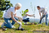 Maximizing Seniors’ Time and Talents for Impactful Engagement