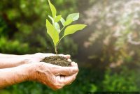Sustainable Senior Living: Designing the Green CCRC of Tomorrow