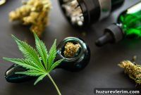 Rising Marijuana Use Among College Students and Older Adults