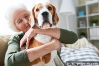 How Senior Living in the U.S. Is Changing Today