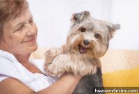 Do Retirement Communities Allow Pets? Senior Living Pet Policy Guide