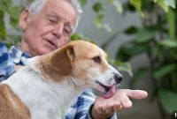 Activities That Bring Joy to Seniors: Simple Ways to Brighten Their Day